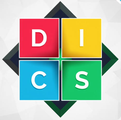 discprofessionalassesment